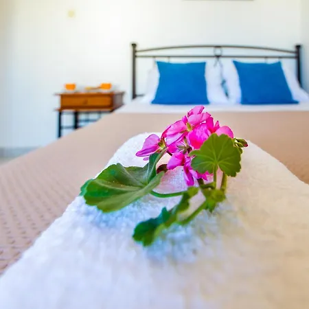 Casa Di Halepa Apartament